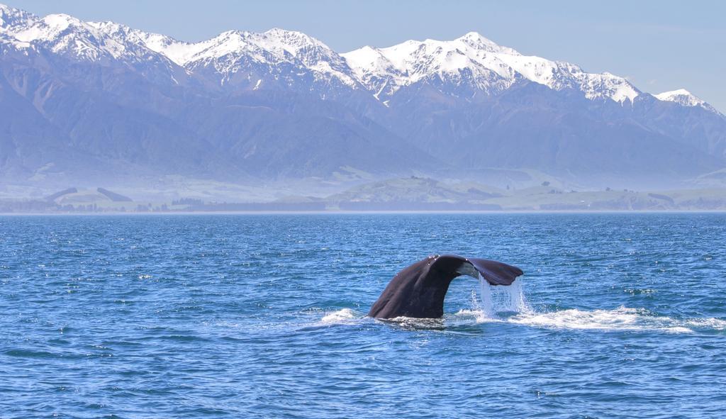 The Factory Luxury Accomodation Kaikoura Luaran gambar